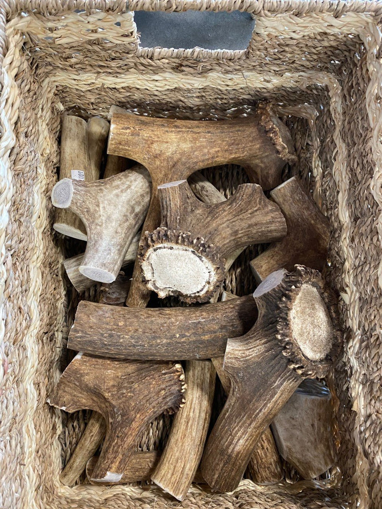 Dog Chew - Elk Antler
