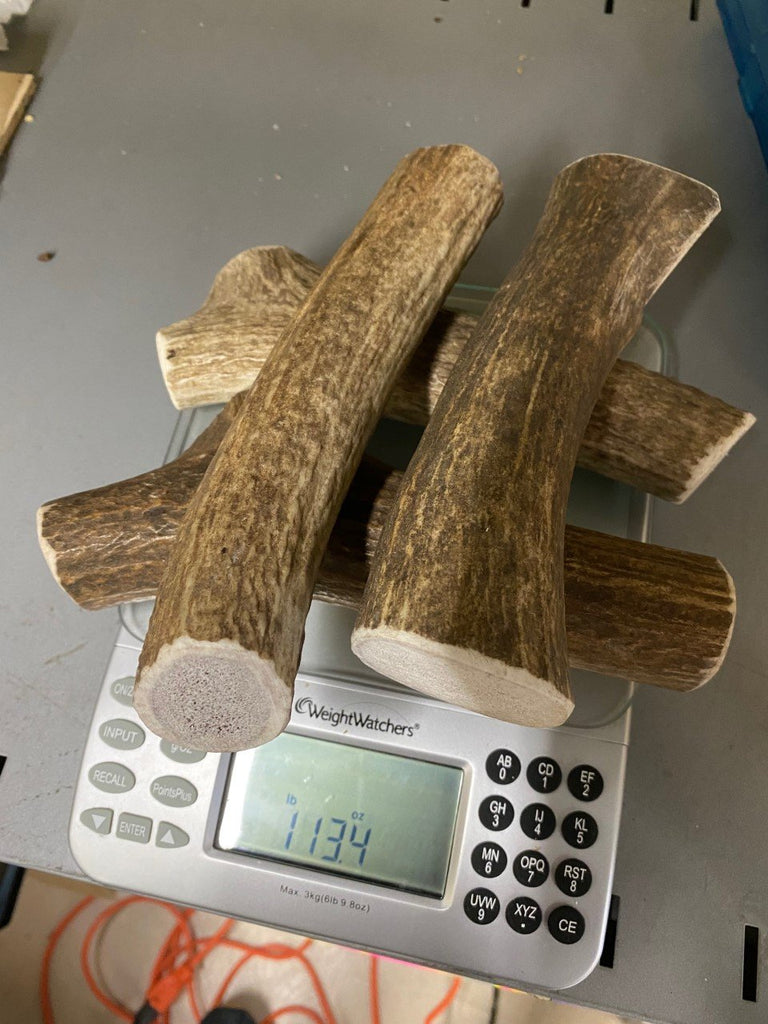 Dog Chew - Elk Antler