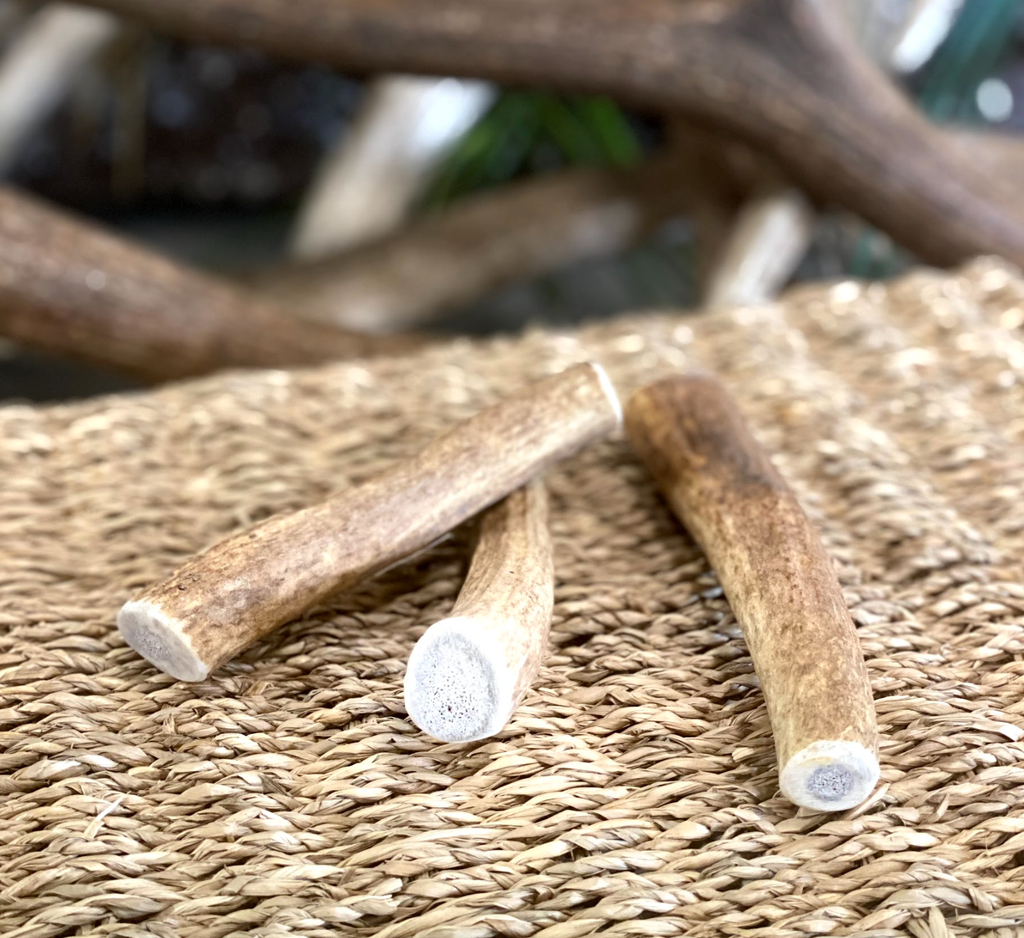 Dog Chew - Elk Antler