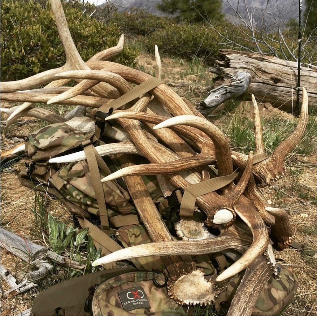 Dog Chew - Elk Antler