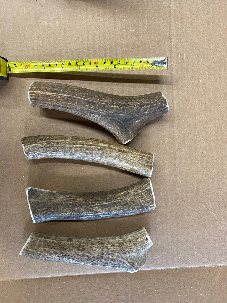 Dog Chew - Elk Antler